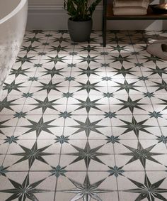 a bath room with a tub and a star pattern on the floor next to a plant