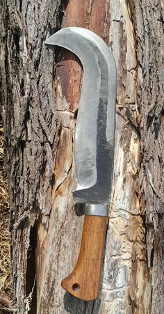 a knife stuck in the bark of a tree with a wooden handle attached to it