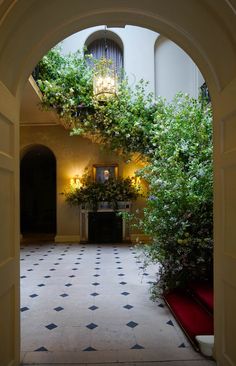 an archway leading to a foyer with potted plants