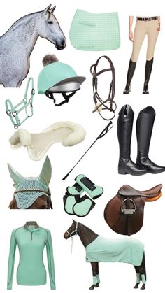 several different types of equestrian equipment are shown