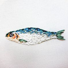 a close up of a fish on a piece of white fabric with blue and orange stripes