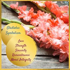 Symbolism of gladiolus flowers. Flower Language, Gladiolus Flower, Different Cultures, Spiritual Meaning, Beautiful Flower, Bouquets, Beautiful Flowers