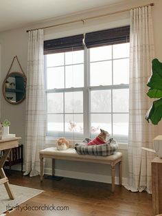 a cat sitting on a bench in front of a window with curtains and a mirror