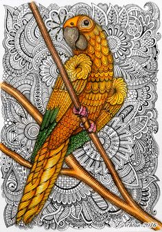 a bird sitting on top of a tree branch in front of a coloring book page