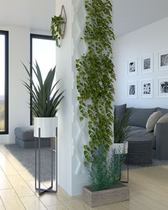 a living room filled with furniture and plants