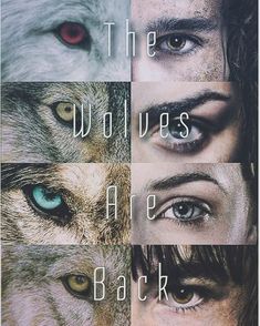 the wolfs are back poster with four different eyes and one is staring into the camera