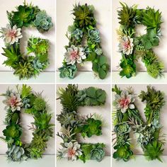 the letters made out of plants are arranged in different shapes and sizes, including one for each letter