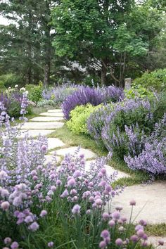 a garden filled with lots of purple flowers next to green trees and grass covered ground