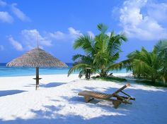 an empty beach with palm trees and thatched umbrellas