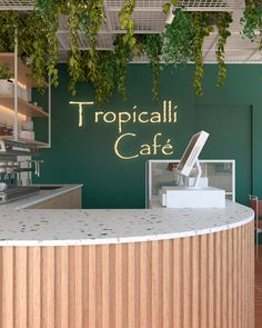 a tropical cafe with green walls and plants hanging from it's ceiling above the counter