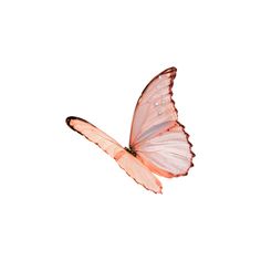 a pink butterfly flying through the air