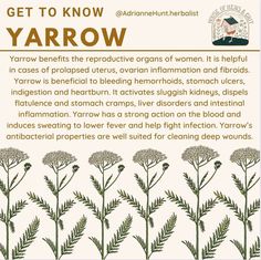 a poster with instructions on how to get to know yarrow in english and spanish