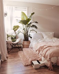 a bedroom with a bed, chair and plants in the corner on the wall next to the window