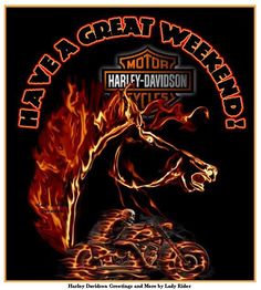 an image of a horse on fire with the words harley - davidson written below it