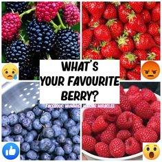 what's your favorite berry? facebook page with pictures of berries and raspberries