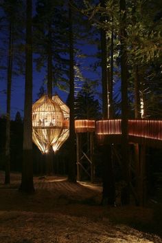 a tree house lit up at night in the woods with lights on it's sides