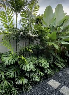 some very pretty plants by the side of a building with no people in it,