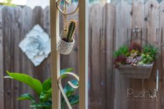 a potted cactus hanging from a metal holder