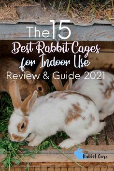 the 15 best rabbit cages for indoor use review and guide