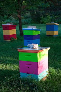 three beehives sitting in the grass next to each other