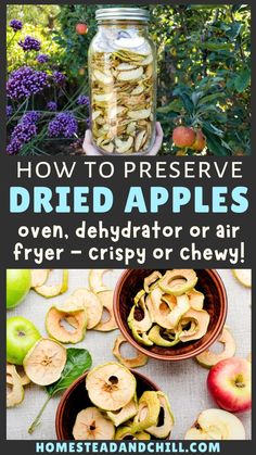 how to preserve dried apples over, dehydraator or air fryer