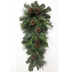 pine cones and evergreen needles are hanging on the wall