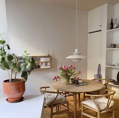 a dining room table with chairs and potted plants