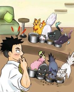 a man sitting on the floor in front of many cats eating food from bowls and pans