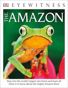 the front cover of an amazon magazine with a frog on it's face