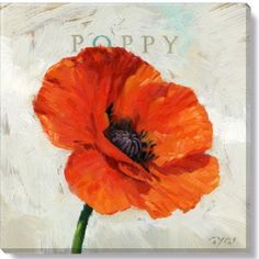 an orange flower on a white background with the word poppy written in it's center