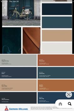 the color scheme for an interior design project