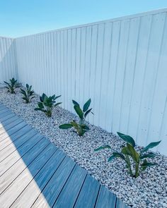 an instagram page with plants and rocks on the side of a fenced in area