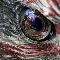 an eagle's eye with the american flag reflected in it, as seen from behind