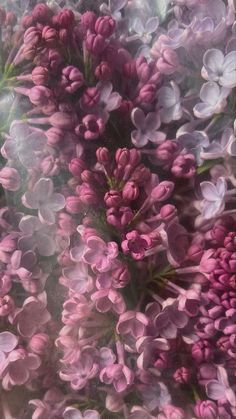 pink and white flowers are in the middle of a blurry photo with light coming through them