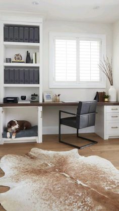 a dog is laying on the floor in front of a desk with bookshelves