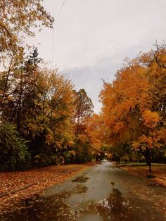 Orange red and yellow October November seasonal photography. Autumn/ fall cool sweater weather vibes.  Fall  • Autumn   • Pumpkins   • Orange   • Aesthetic   • Nature   • Photography   • Halloween   • Season   • Seasonal   • Leaves   • Red  • Yellow  • October  • November   • Thanksgiving November Vibes Aesthetic, Autumn Vibes Aesthetic, Autumnal Aesthetic, Spooky Halloween Pictures, Seasonal Photography, October Weather, Cool Sweater, Witch Tips, October Sky