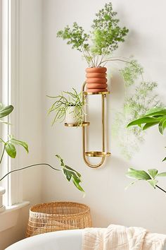 some plants are hanging on the wall next to a chair and potted plant in a vase