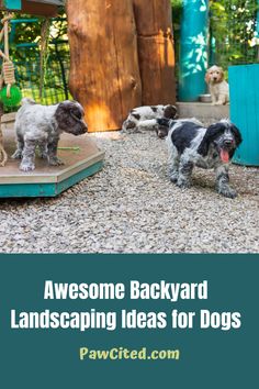 there are many dogs that are walking around in the yard with text overlay reading awesome backyard landscaping ideas for dogs