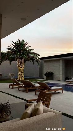 an outdoor living area with lounge chairs and a palm tree in the middle of it