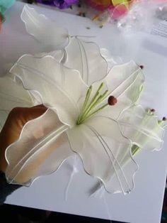 a large white flower sitting on top of a table