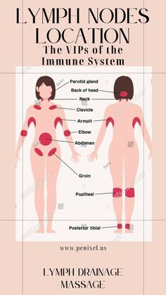 The lymphatic system, an often-overlooked component of the body’s defense mechanisms, plays a vital role in maintaining overall health. While most people are familiar with the circulatory system that moves blood throughout the body, the lymphatic system is equally important. It functions as a drainage network, clearing out toxins, waste, and other unwanted materials. This complex network of vessels and nodes is crucial for maintaining a drama-free body, as it helps manage fluid levels, supports the immune system, and facilitates detoxification. lymph drainage massage,lymph drainage,lymph massage,how to drain lymph nodes,lymph fluid. Lymph Nodes Massage, Drain Lymph System, Draining Lymph Nodes, How To Drain Lymph Nodes, Lymph Nodes Location, Drain Lymph Nodes, Lymph Drainage Massage Face, Self Lymph Drainage Massage, Manual Lymph Drainage