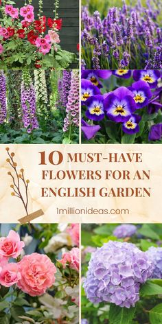 flowers with the title 10 must - have flowers for an english garden written below them