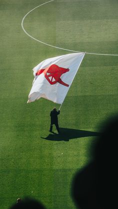 a man holding a flag on top of a soccer field