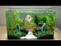 an aquarium filled with plants and fish in it's display case on top of a wooden table