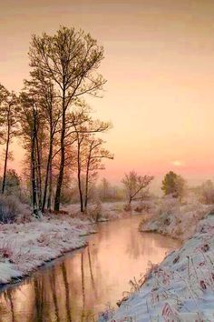 a river running through a snow covered forest