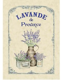 a book cover with lavenders in pots and the words lavande de provene