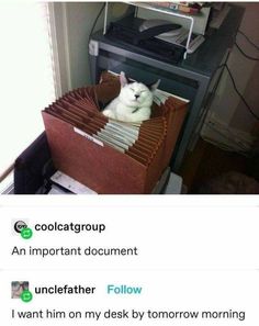 a white cat is sitting in an open file box with the caption, coolatoup an important document unclefather follow i want him on my desk by tomorrow morning