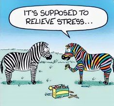 Witty Memes, Psychology Humor, Zebras, Adult Coloring Books, Funny Jokes