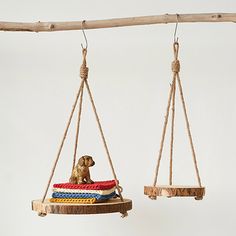 a dog sitting on top of a wooden swing