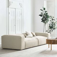 a living room with white walls and a large plant in the corner next to it